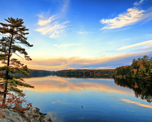 Making Muskoka Cottage Management Easy on Airbnb and VRBO